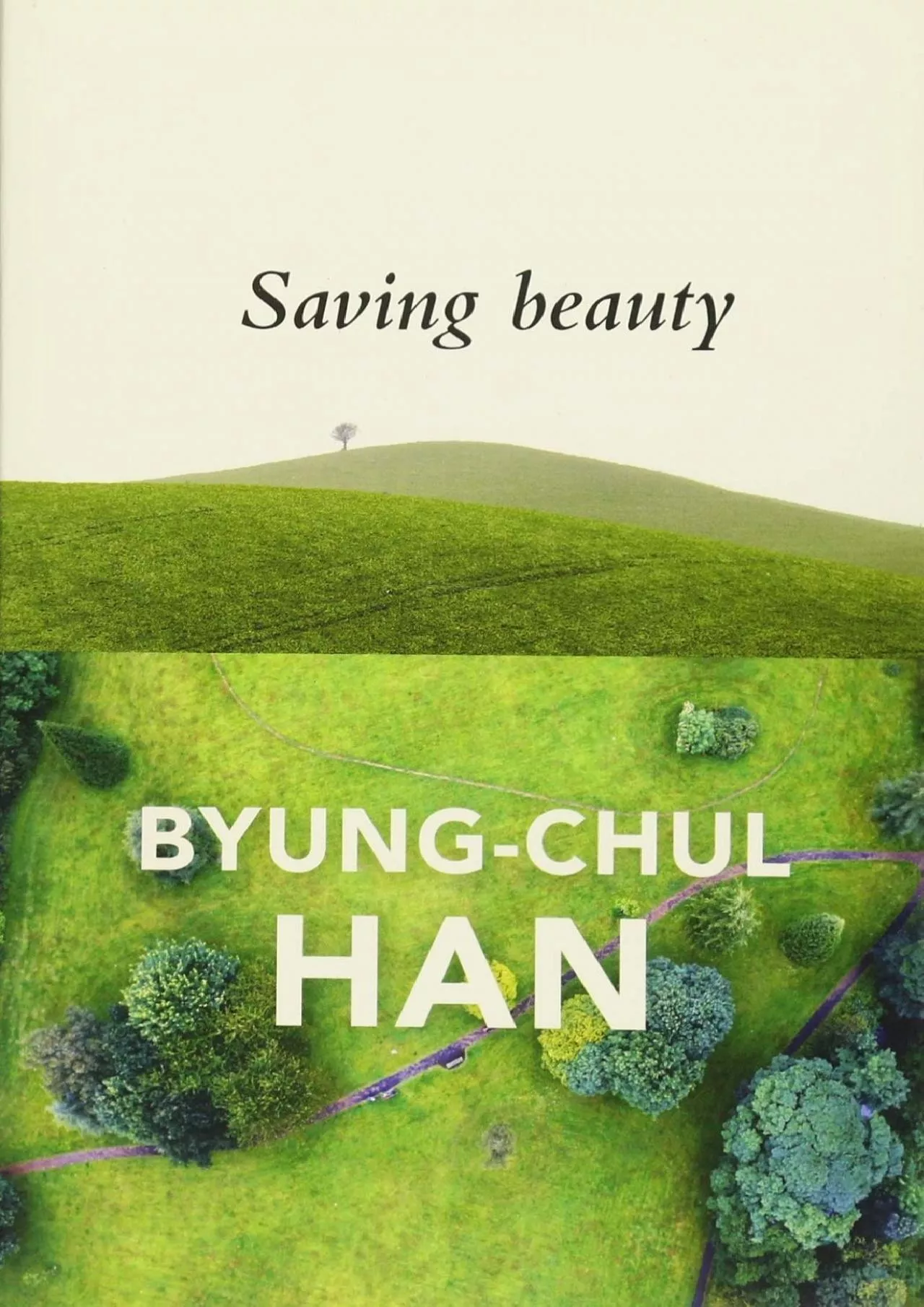 [BOOK]-Saving Beauty
