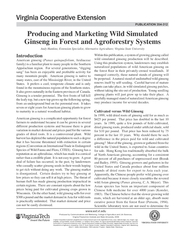 Producing and Marketing Wild Simulated Ginseng in Forest and Agrofores