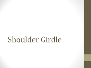 Shoulder Girdle