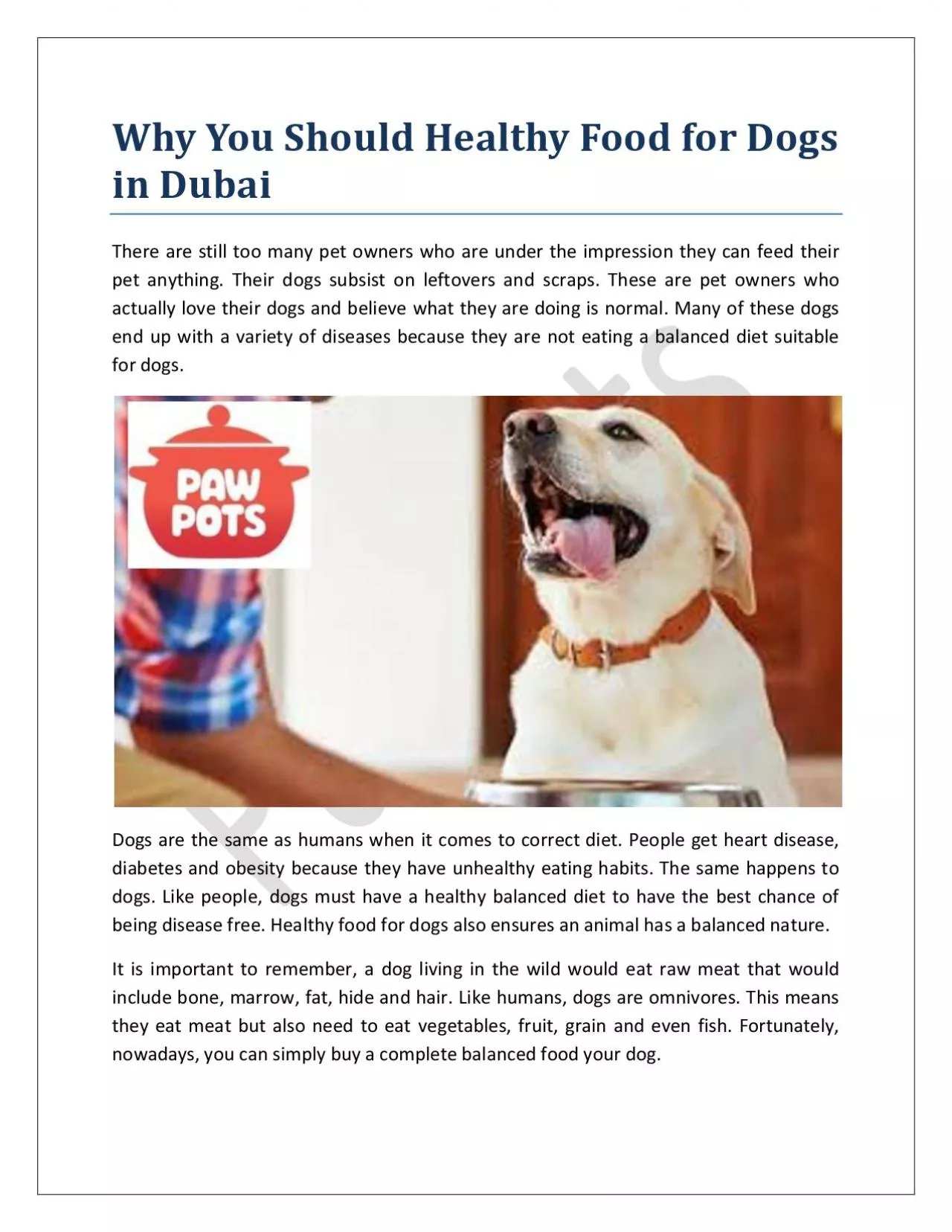 Why You Should Healthy Food for Dogs in Dubai