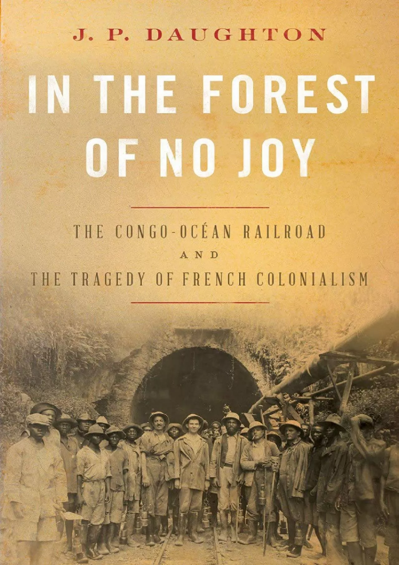 PDF-[BOOK]-In the Forest of No Joy: The Congo-Océan Railroad and the Tragedy of French Colonialism