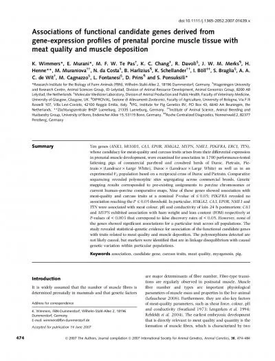 developmentalstagesithedeterminationandproliferationofmyoblastsand