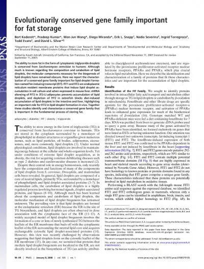 importantinfattyacidandTGbiosynthesiswerenotchangedincellsexpressingFI