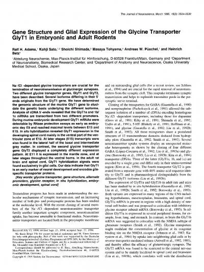 Gene Structure and Glial Expression of the Glycine Transporter GlyTl i
