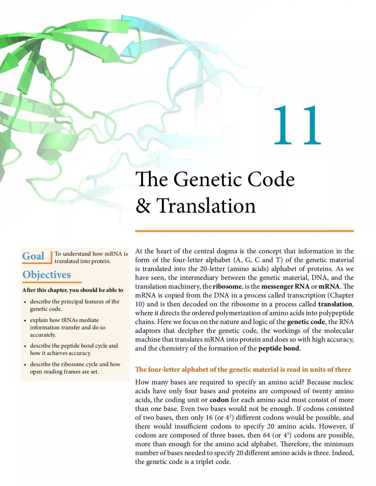 PDF-31e Genetic Code