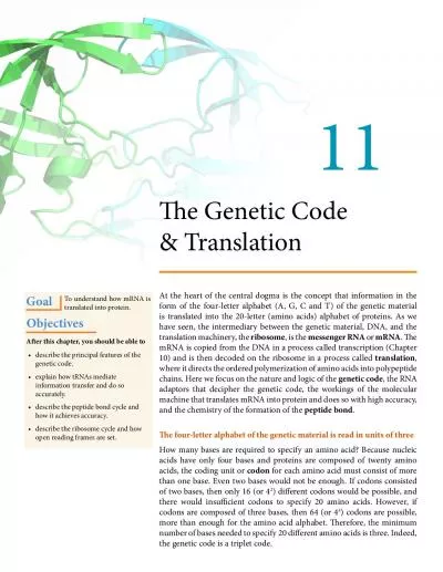 31e Genetic Code