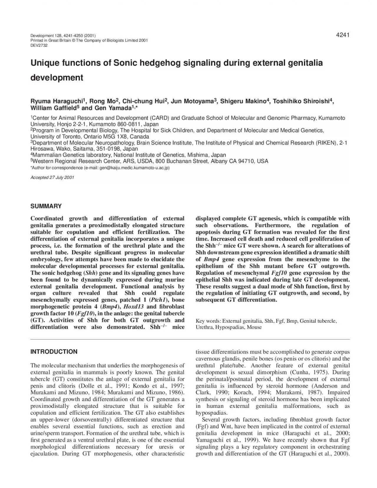 PDF-INTRODUCTIONexternal genitalia in mammals is poorly known The genital