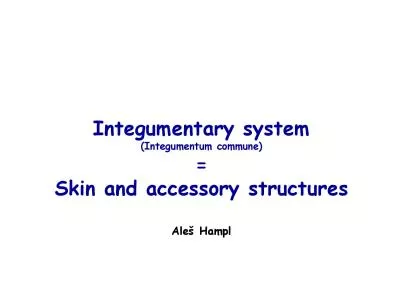 Integumentary system