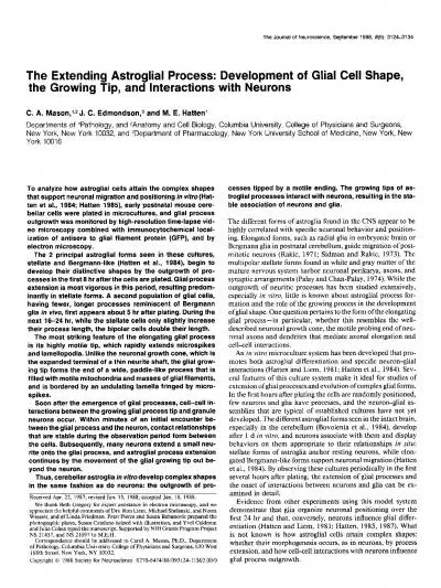 The Journal of Neuroscience September 1988 89 31243134