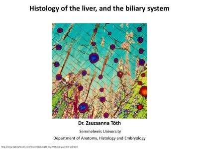 Histology of the liver and the biliary system
