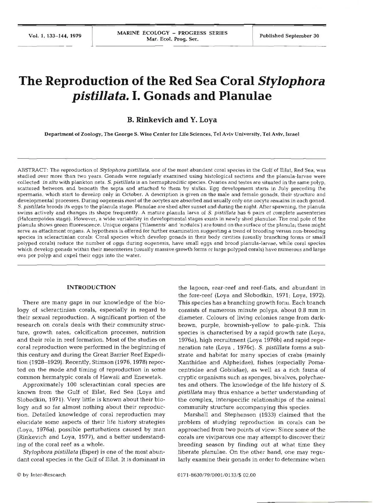 PDF-Stylophora pistillata sections through within a male gonad male gonad