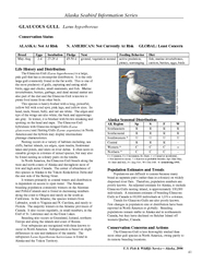 Alaska Seabird Information Series
