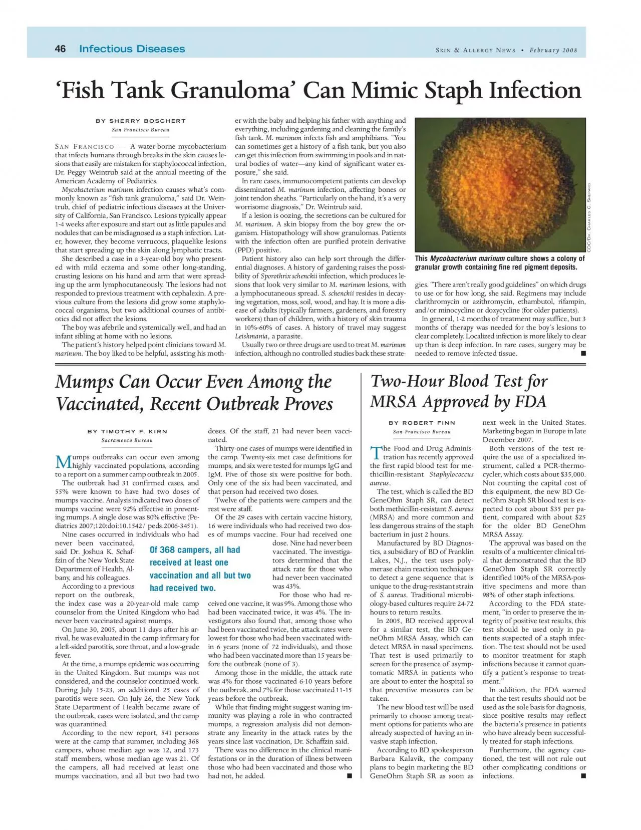 PDF-LLERGYFebruary 2008Fish Tank Granuloma Can Mimic Staph InfectionBY S