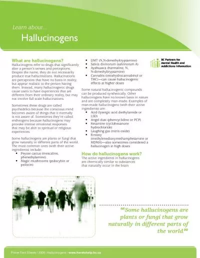 hallucinogens.pdf