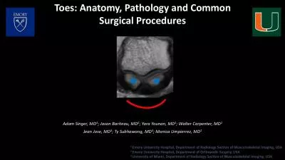 Toes Anatomy Pathology and Common