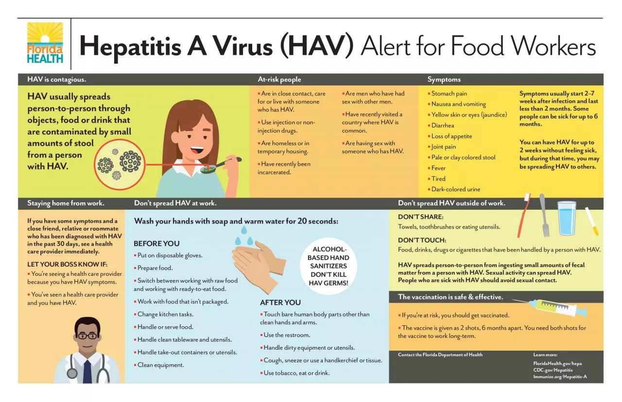 PDF-SymptomsAtrisk peopleHAV is contagiousThe vaccination is safe effe