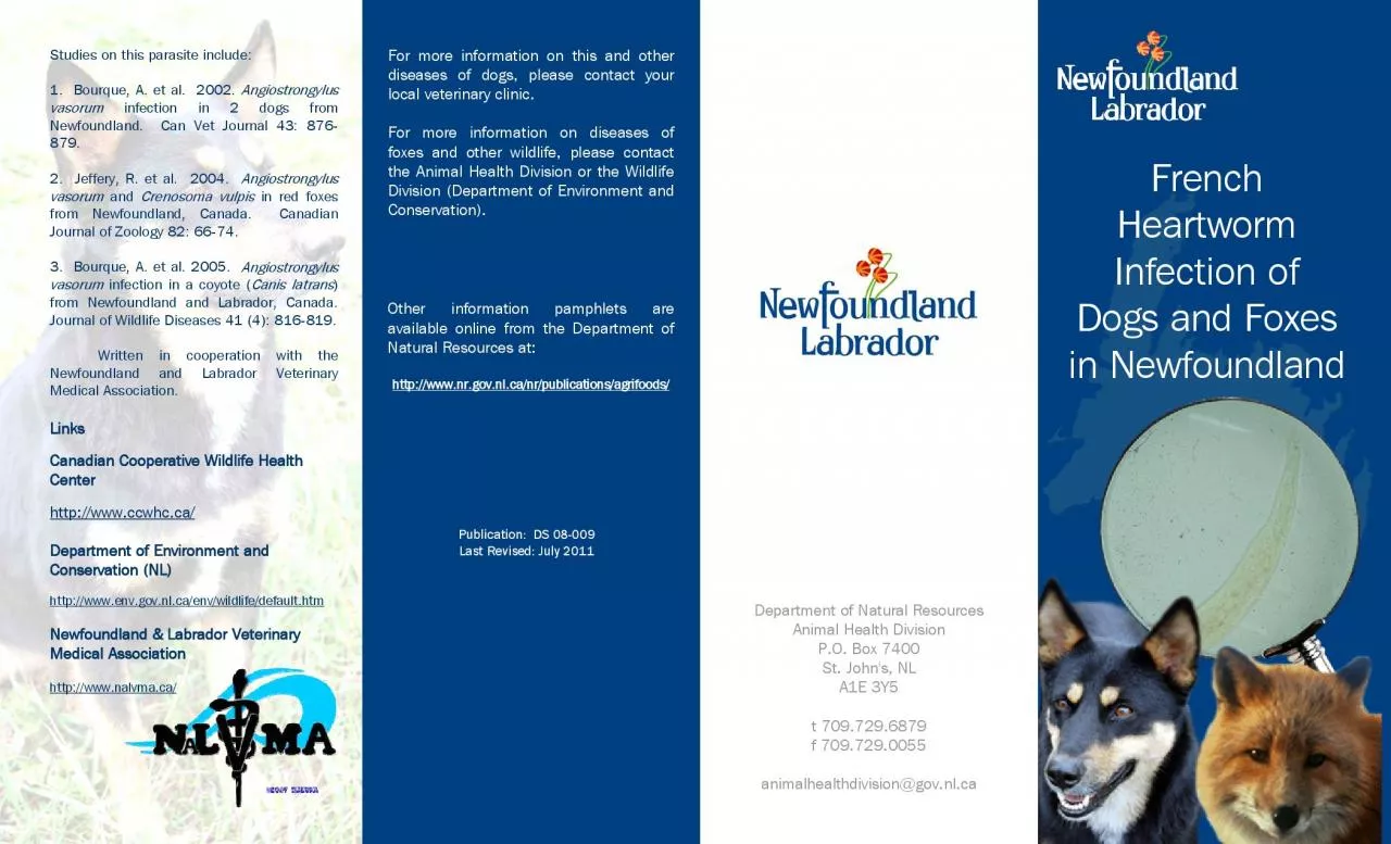 PDF-Department of Environment and Conservation NL httpwwwenvgovnl