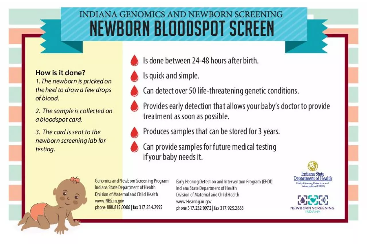 PDF-NEWBORN BLOODSPOT SCREEN