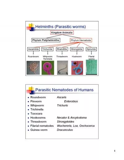 Phylum Platyhelminths Hookworm Filarial worms Roundworm Whipworm Trich