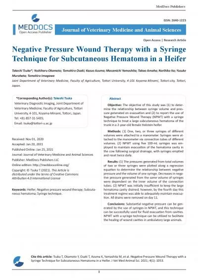 Negative Pressure Wound Therapy with a Syringe