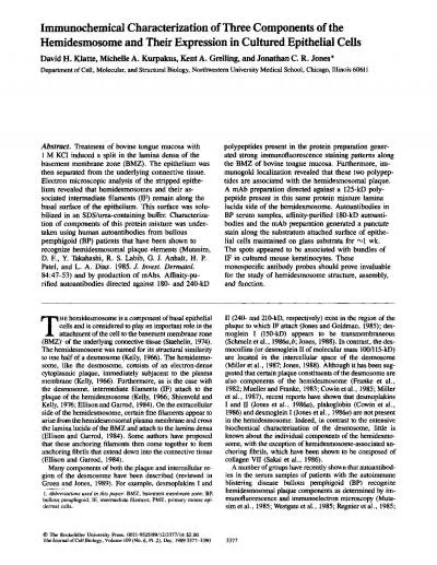 Characterization of Three Components of the Hemidesmosome and Their Ex