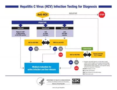 Hepatitis C Virus HCV Infection Testing for Diagnosis31