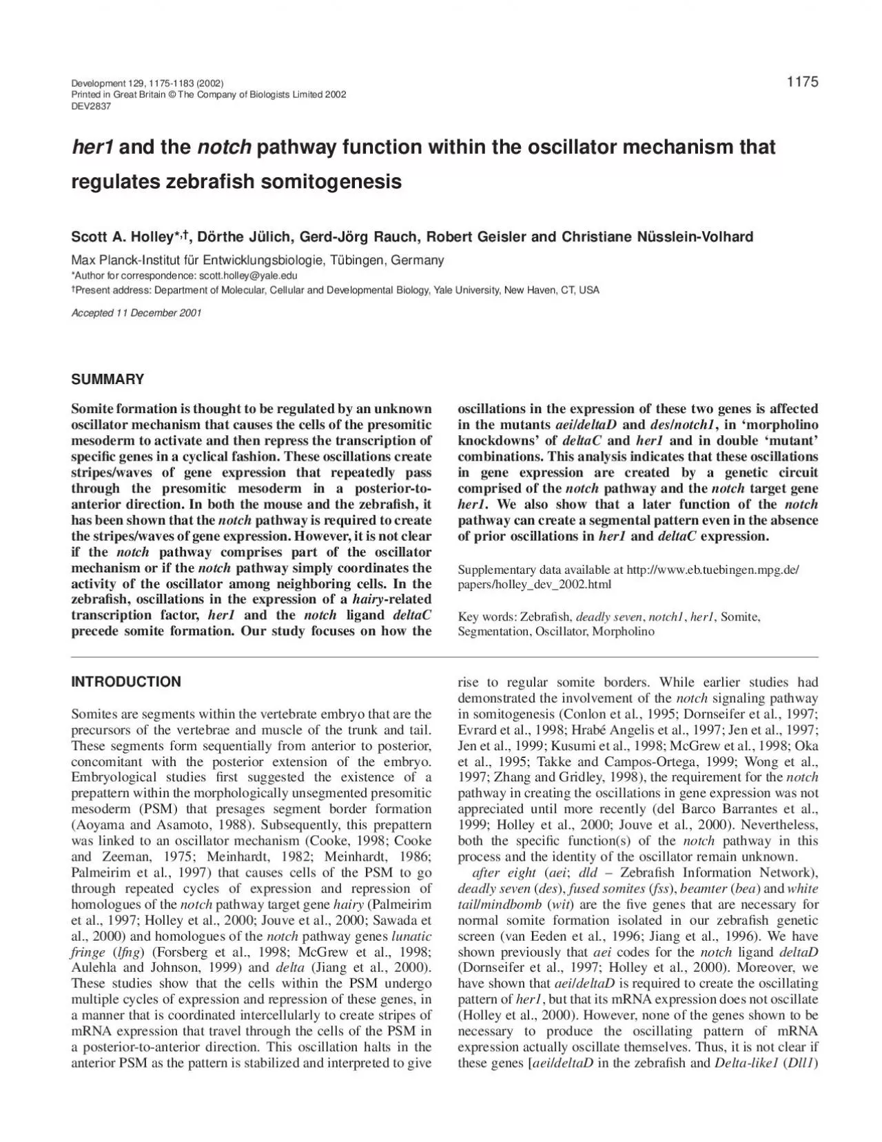 PDF-INTRODUCTIONSomites are segments within the vertebrate embryo that are