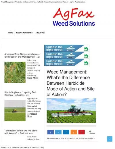 Weed Management What146s the Difference Between Herbicide Mode of