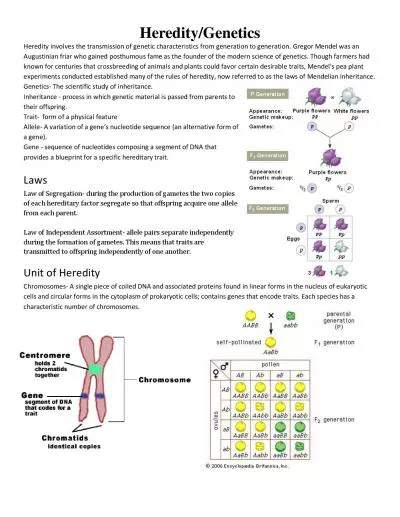 Heredity involves the transmission of genetic characteristics from gen