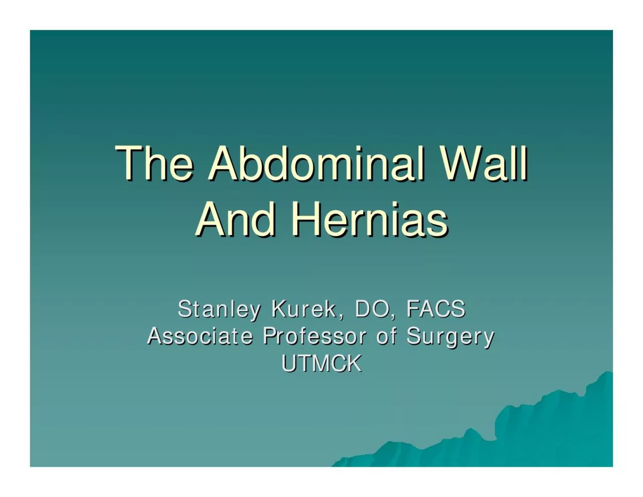 The Abdominal Wall