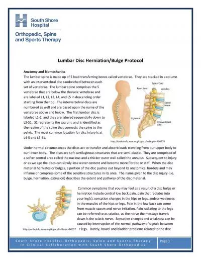 South Shore Hospital Orthopedic Spine and Sports Therapy in Clinical