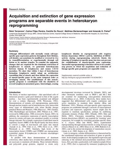 SummaryAcquisition and extinction of gene expressionprograms are separ