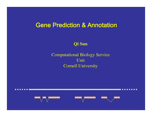 Qi SunComputational Biology Service UnitCornell University