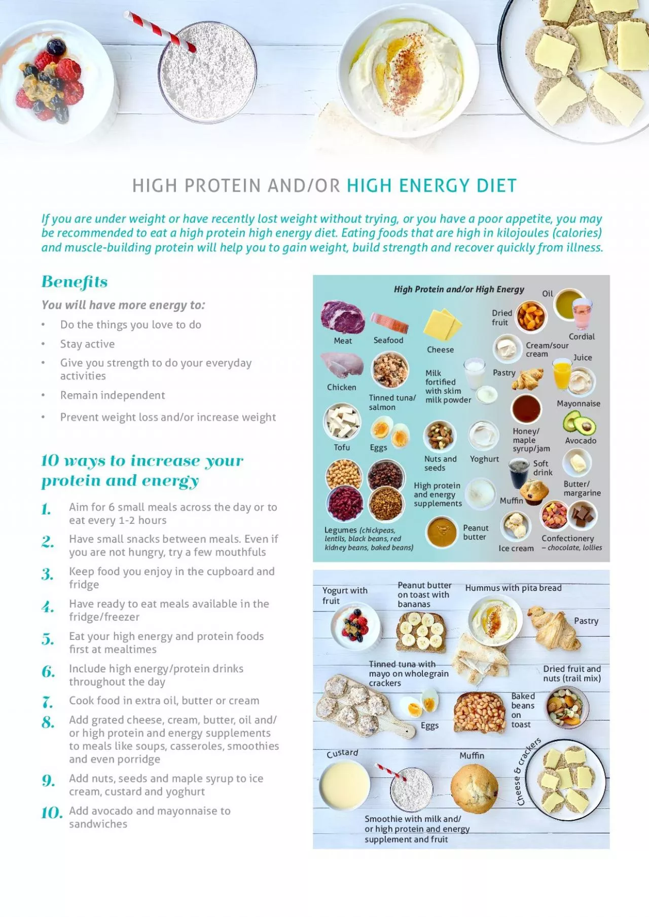 High Protein andor High Energy