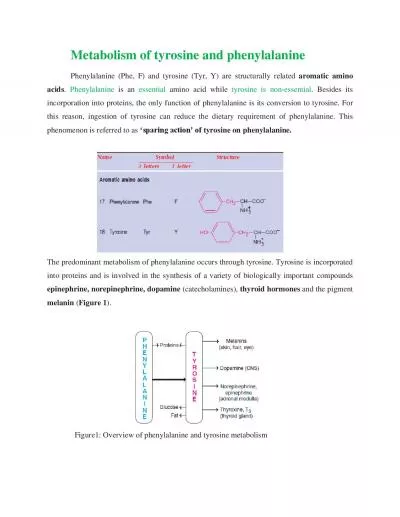 Metabolism of tyrosine and phenylalanine