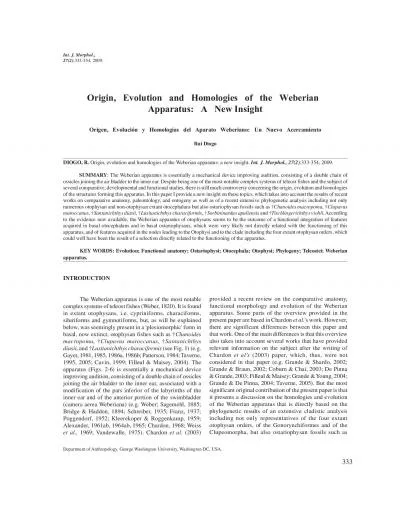 Origin evolution and homologies of the Weberian apparatus a new insi