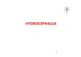 PDF-HYDROCEPHALUS