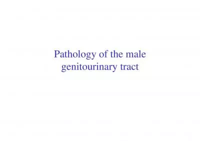 Pathology of the male genitourinary tract