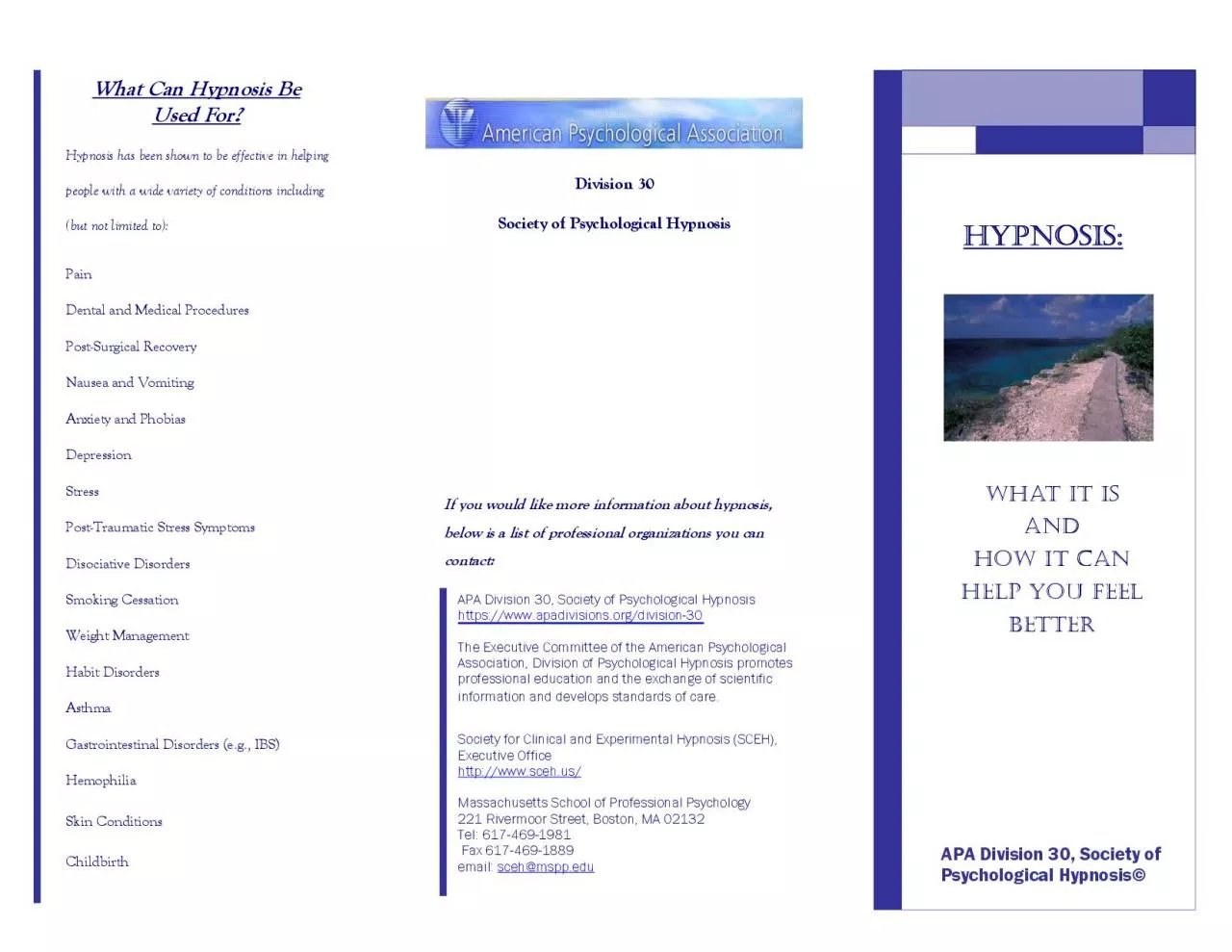 PDF-What Can Hypnosis Be