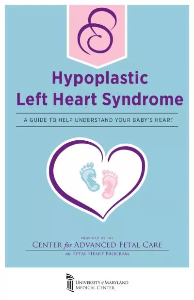 A GUIDE TO HELP UNDERSTAND YOUR BABY146S HEARTMedical Center