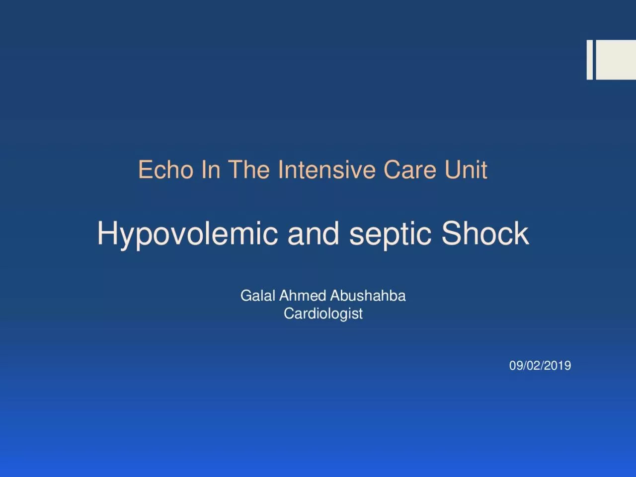 Echo In The Intensive Care Unit