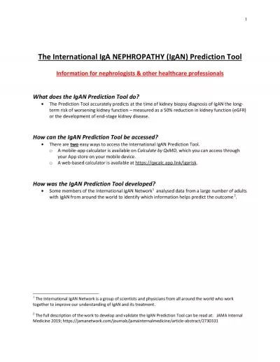 The International IgA NEPHROPATHY