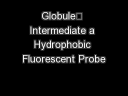 Globule” Intermediate a Hydrophobic Fluorescent Probe