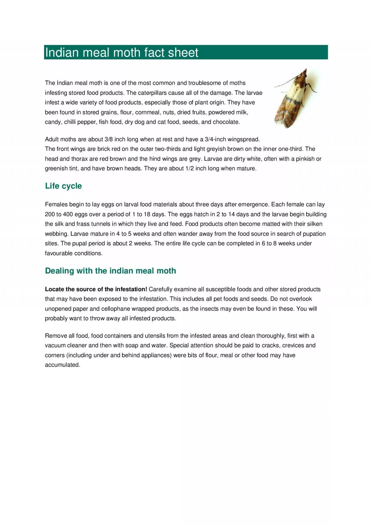 PDF-Indian meal moth fact sheet