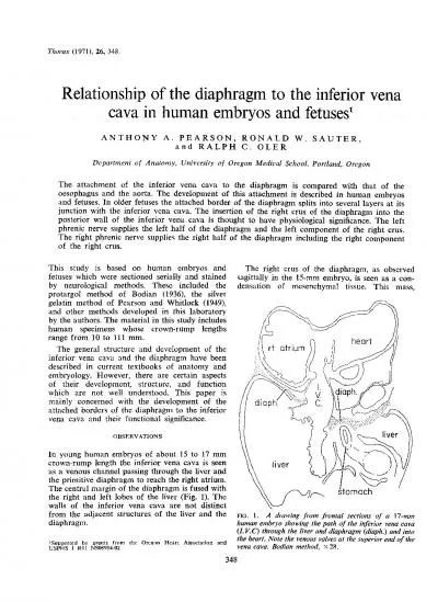 Thorax197126348Relationshipofthediaphragmtotheinferiorvenacavainh