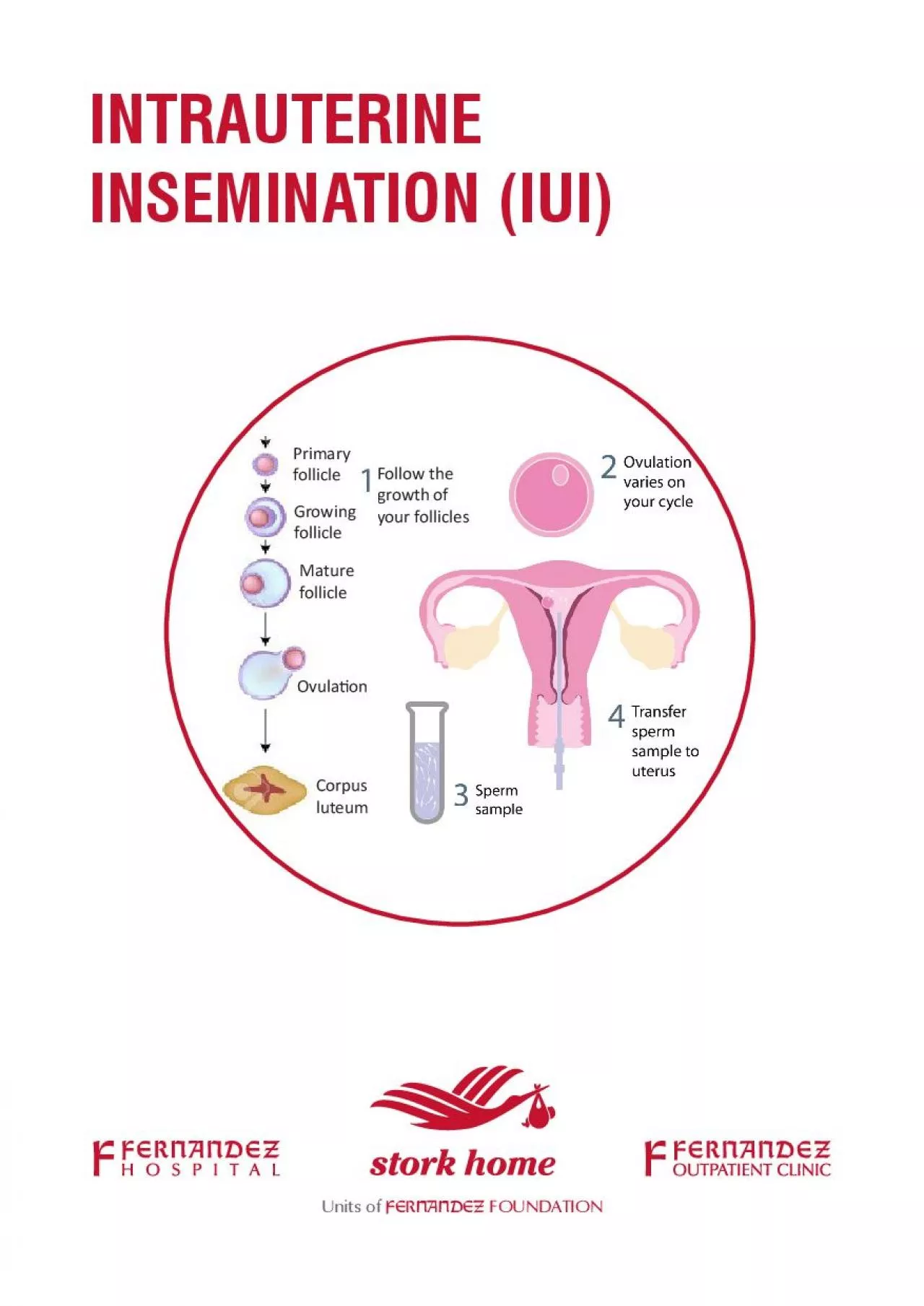 PDF-INTRAUTERINE