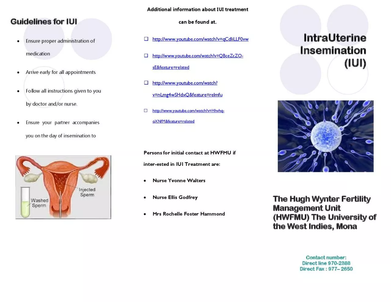 PDF-Guidelines for IUI