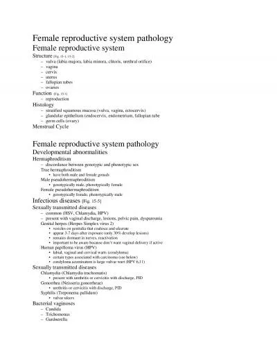 Female reproductive system pathologyFemale reproductive systemStructur