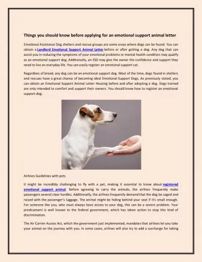 Things you should know before applying for an emotional support animal letter