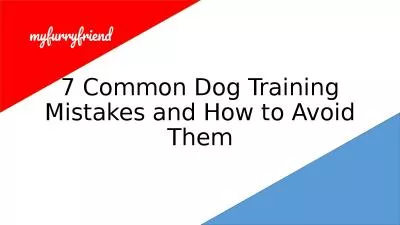 7 Common Dog Training Mistakes and How to Avoid Them